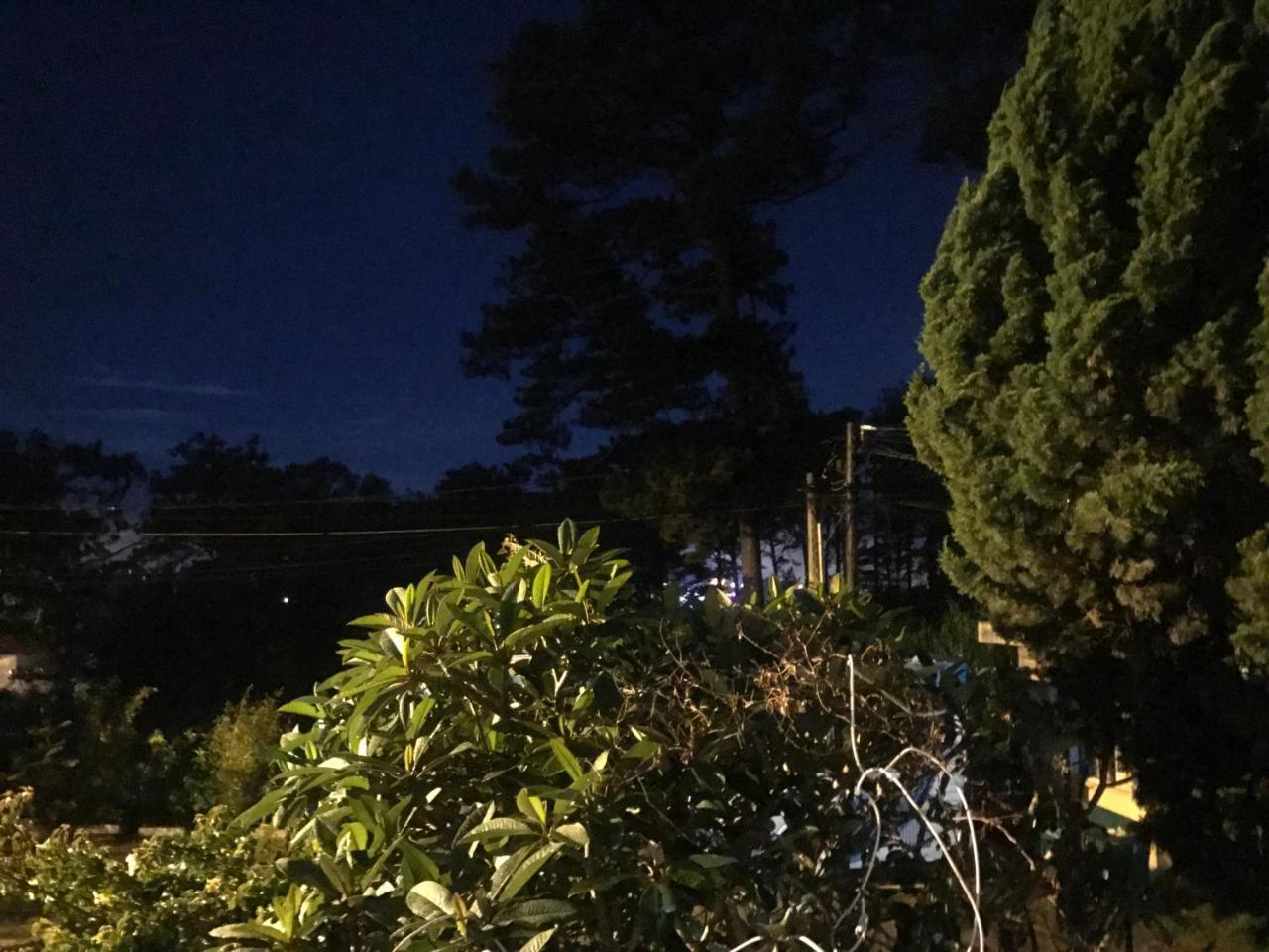 大叻 Windy House酒店 外观 照片